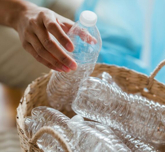 Que faire avec des bouteilles en plastique au jardin ?