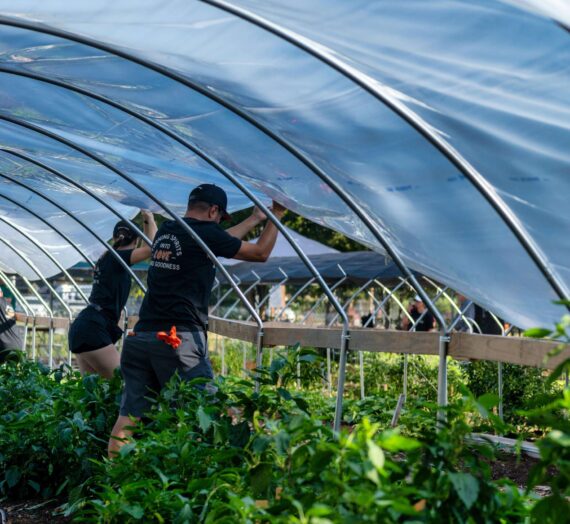 Comment fixer une serre tunnel au sol ?